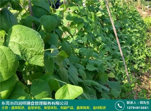 四季青服装批发官网，实操经验分享